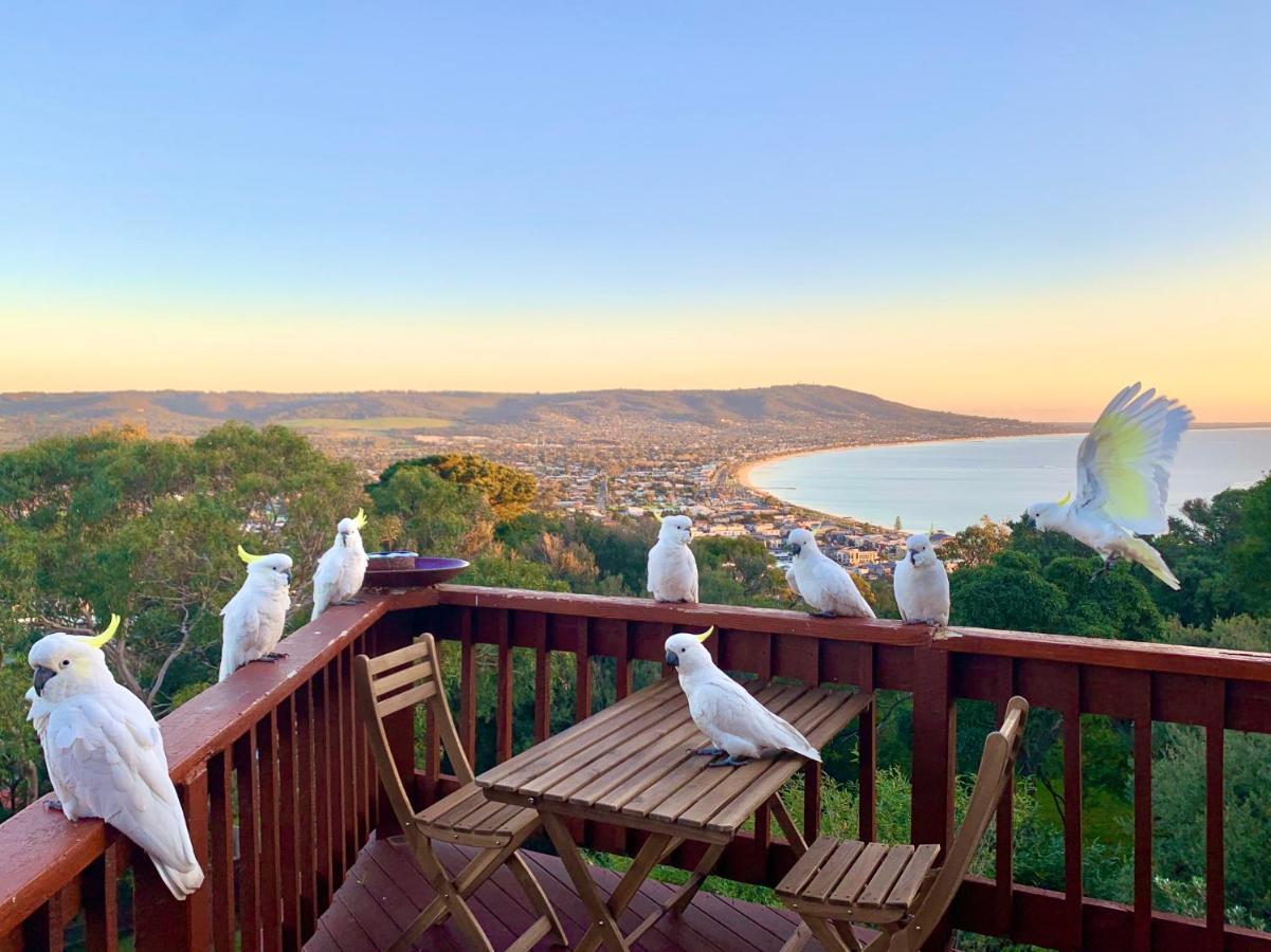 Вілла Kinoie Mornington - Oceanview Маунт-Марта Екстер'єр фото