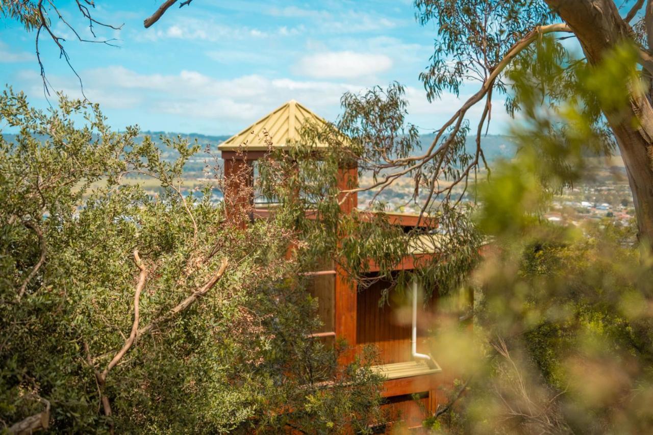 Вілла Kinoie Mornington - Oceanview Маунт-Марта Екстер'єр фото